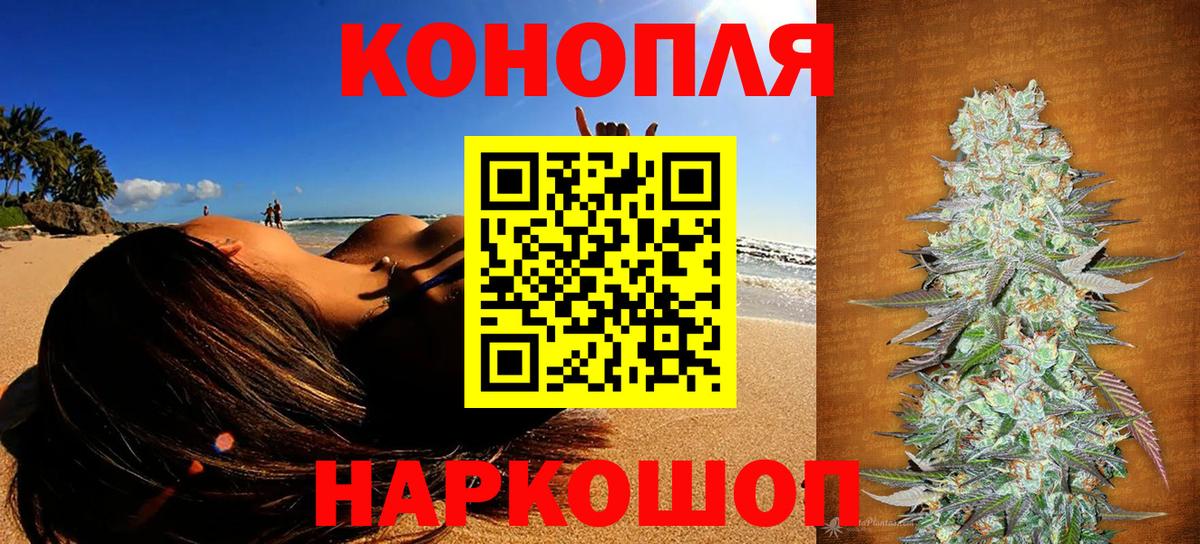 Конопля гибрид Сертолово